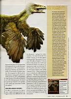 Dinosaures et plumes, Science & Vie 1100, 2009-05 (8)